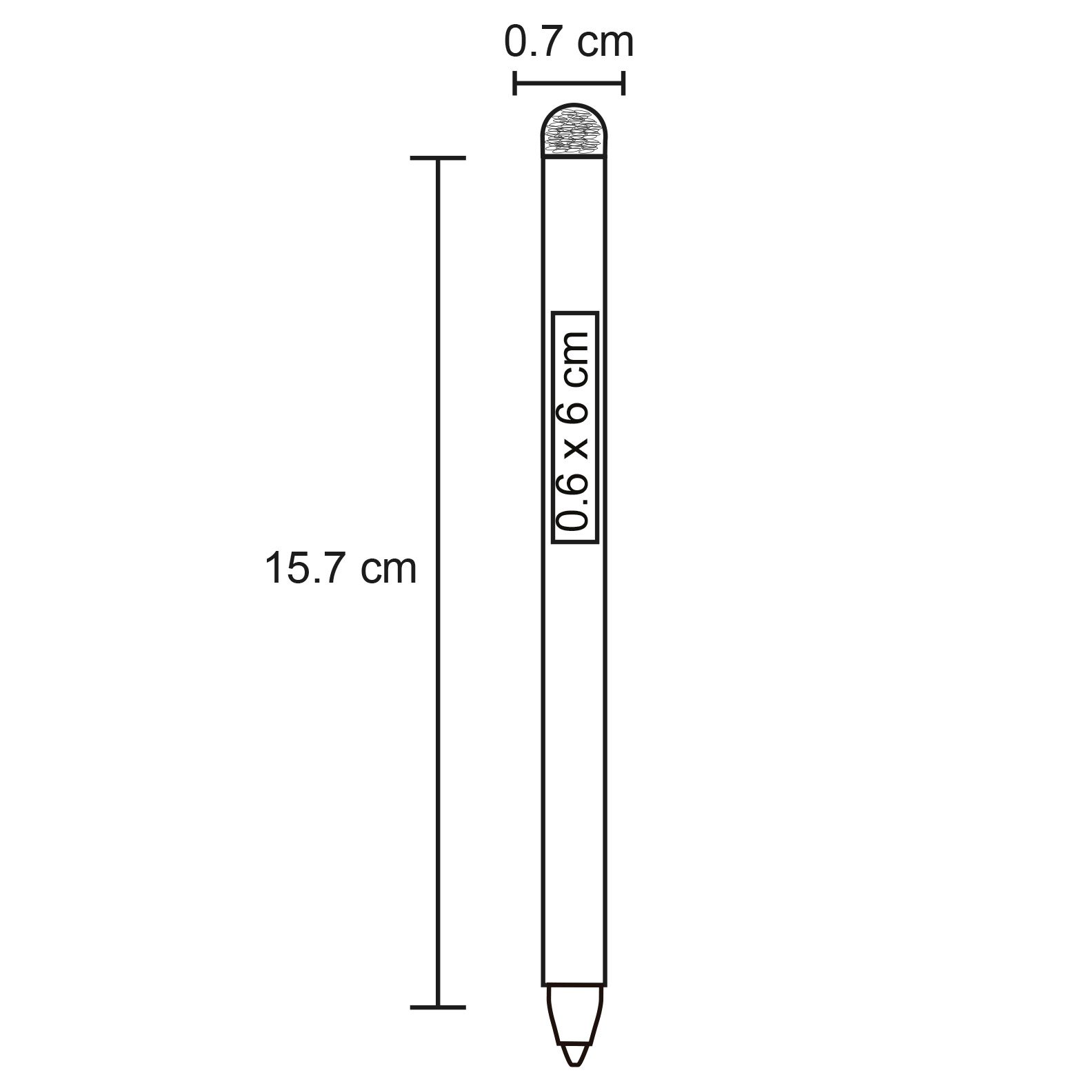 TLALLI - Image 2