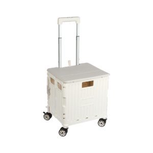 Carrito Zory.